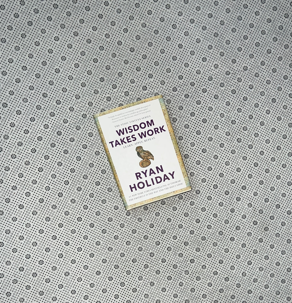 WISDOM TAKES WORK: Learn. Apply. Repeat.: Stoic Virtues Series (Book 4) by Ryan Holiday