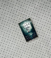 one dark window the shepherd king series book 1 by rachel gillig