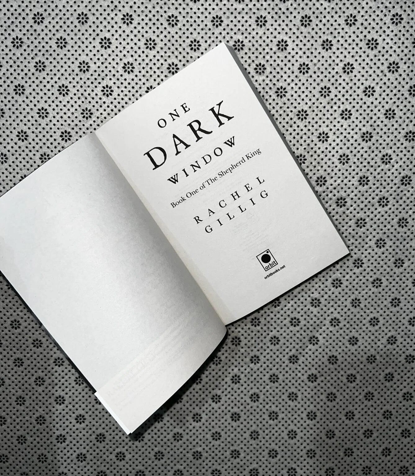 one dark window the shepherd king series book 1 by rachel gillig