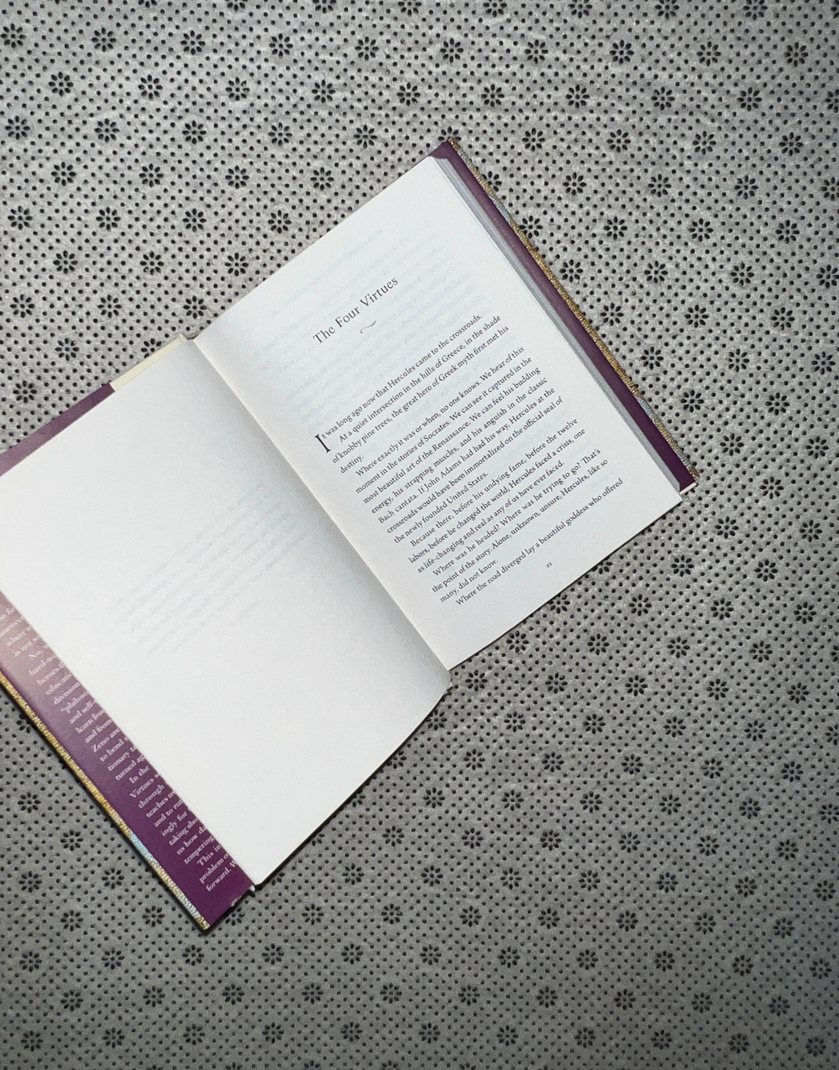 WISDOM TAKES WORK: Learn. Apply. Repeat.: Stoic Virtues Series (Book 4) by Ryan Holiday