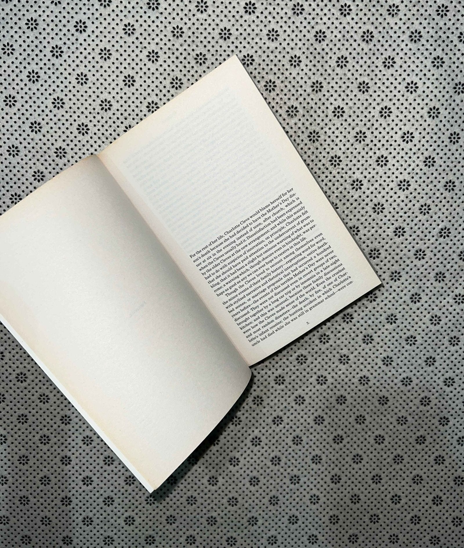 the little friend by donna tartt