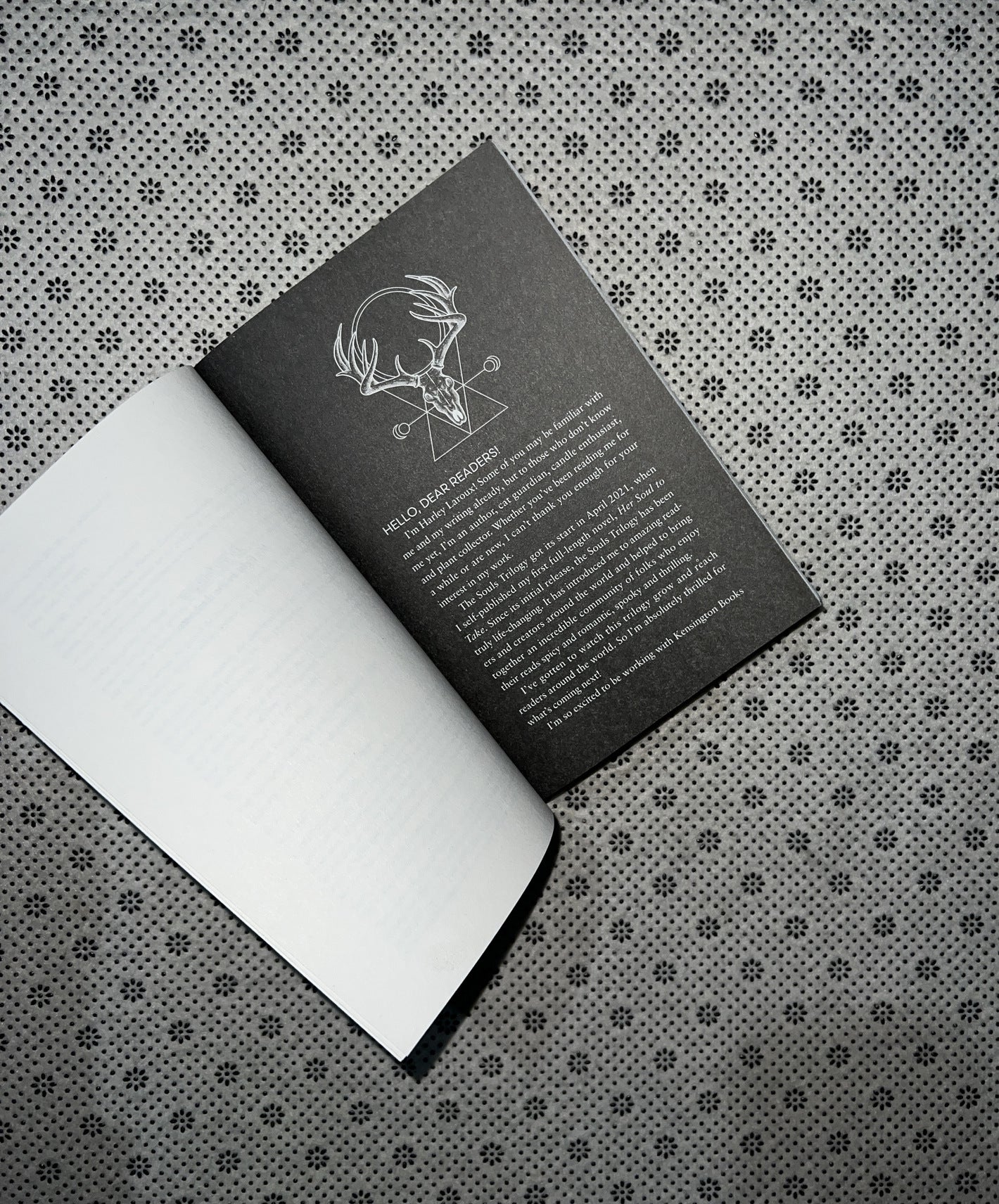 HER SOUL TO TAKE: Souls Trilogy (Book 1) by Harley Laroux