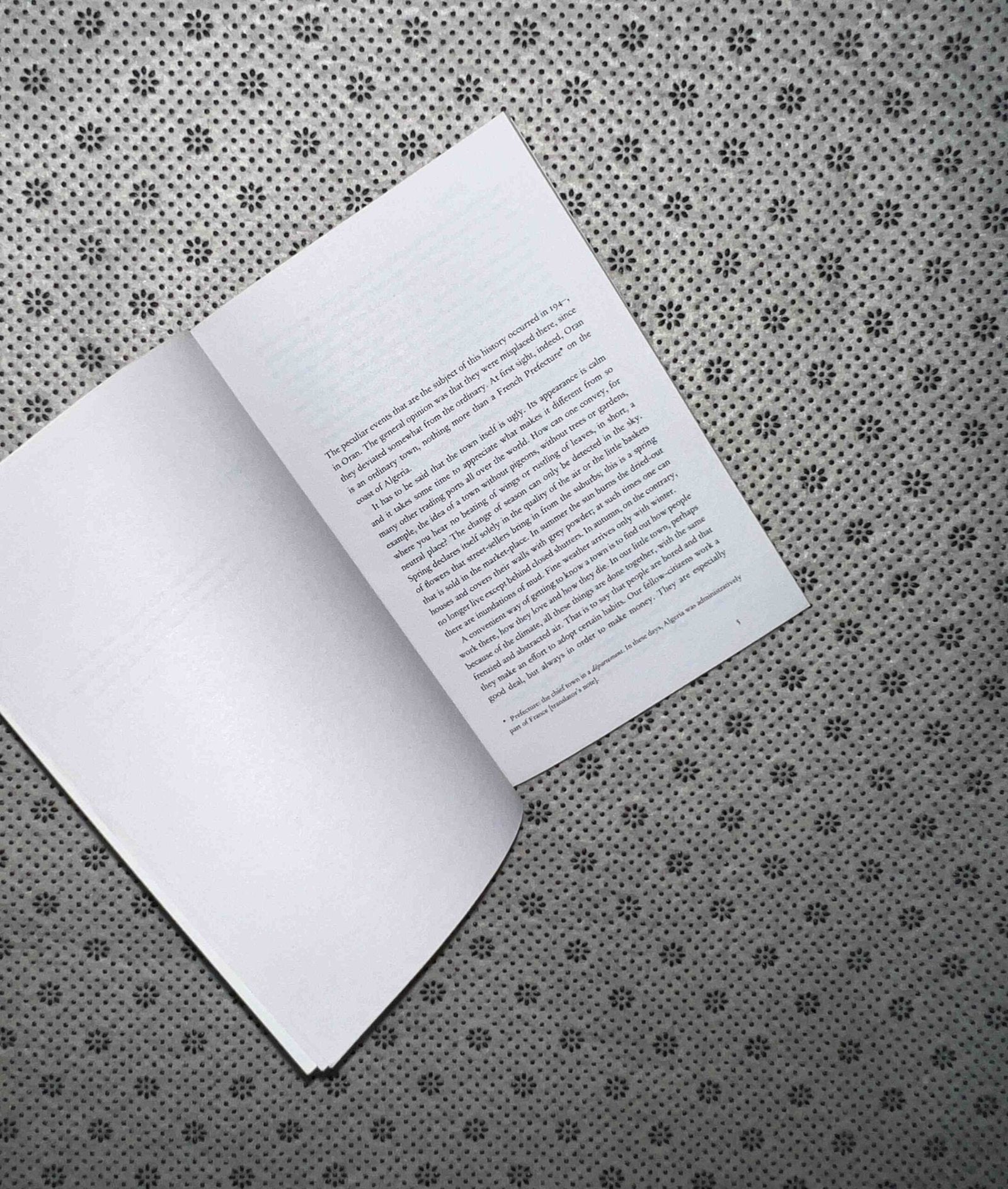 the plague by albert camus