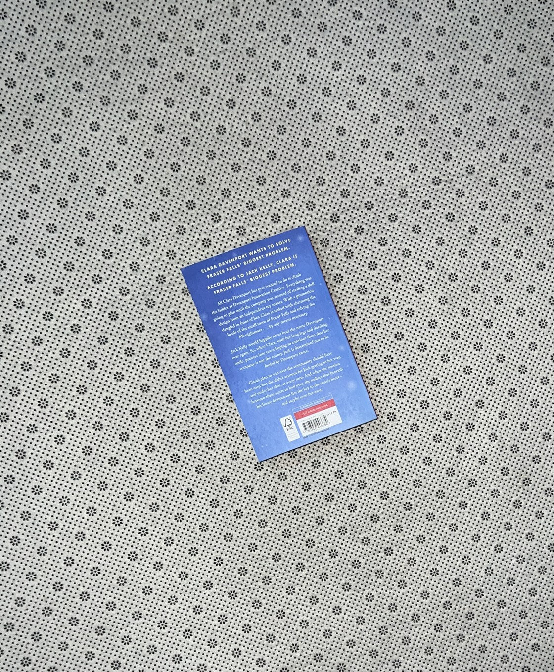 HOLIDAY EVER AFTER by Hannah Grace