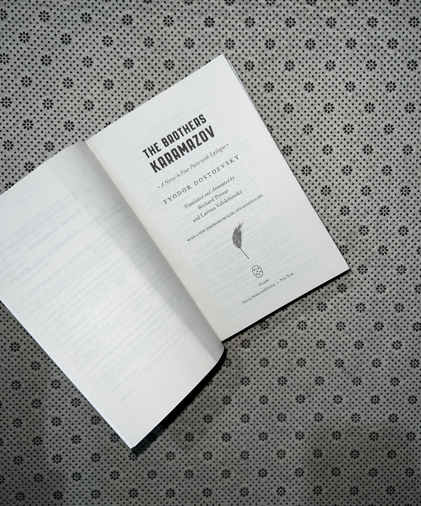 THE BROTHERS KARAMAZOV (Deluxe Edition) by Fyodor Dostoevsky