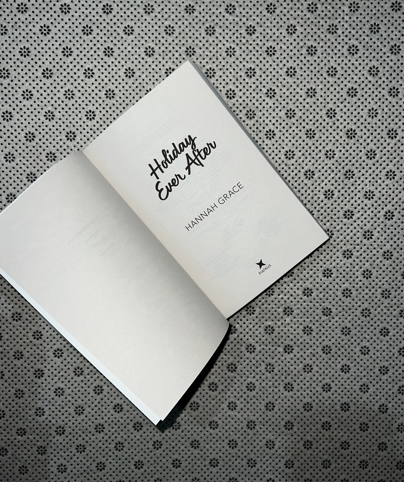 HOLIDAY EVER AFTER by Hannah Grace