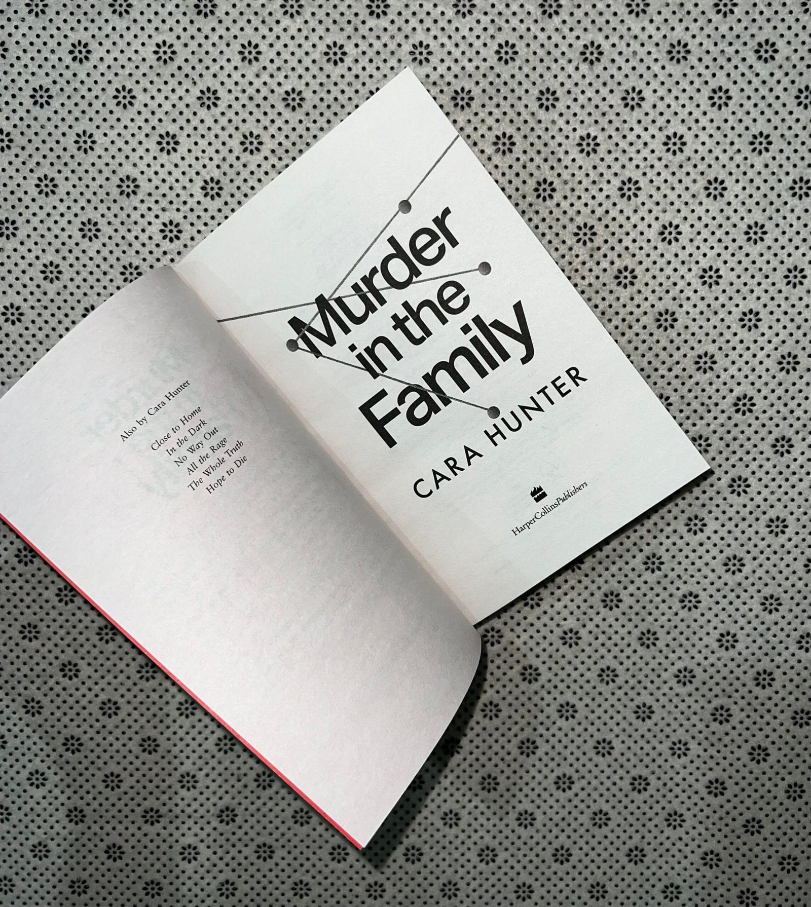 murder in the family by cara hunter