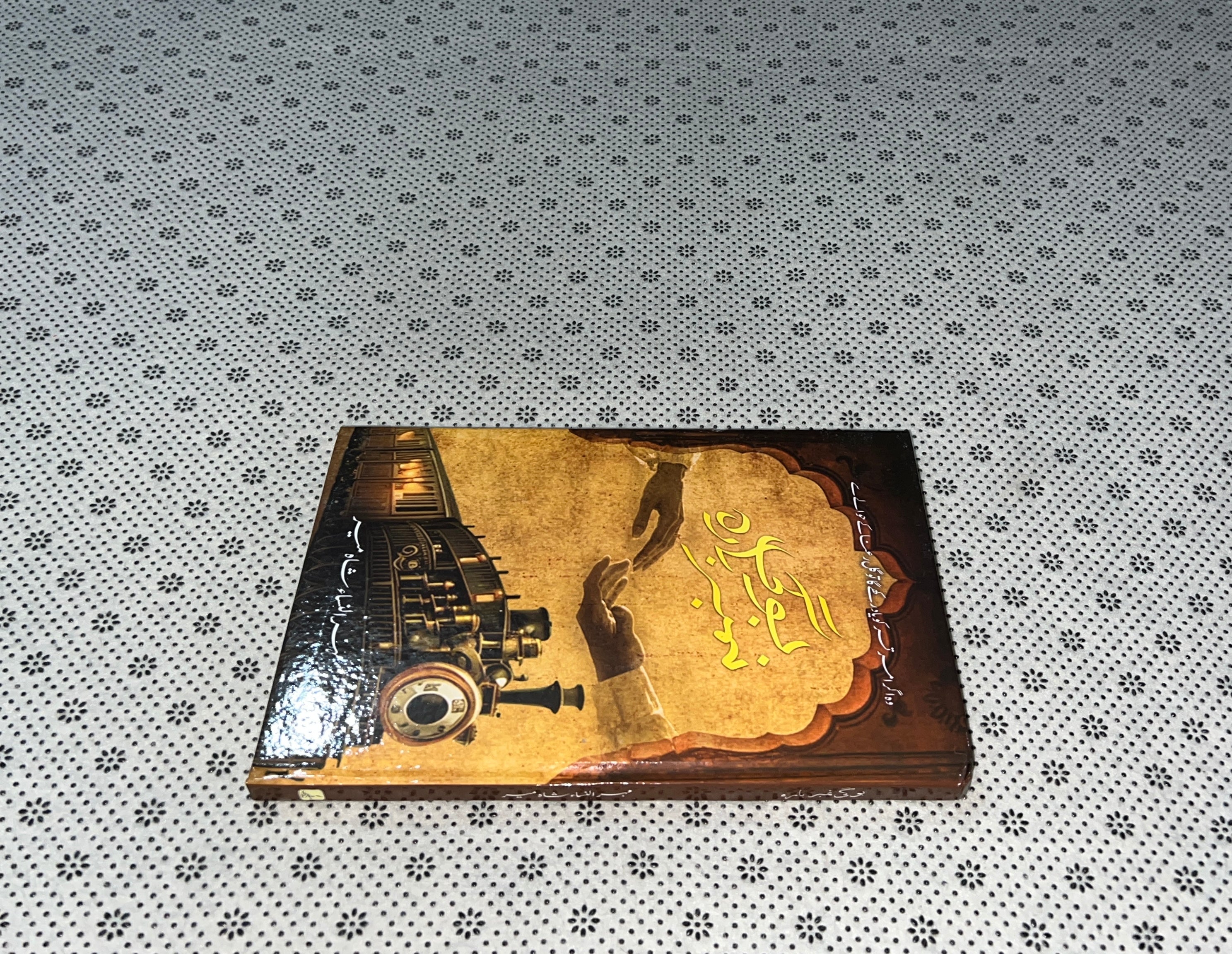 BOGHI NUMBER 12 by Mehrulnisa Shahmeer