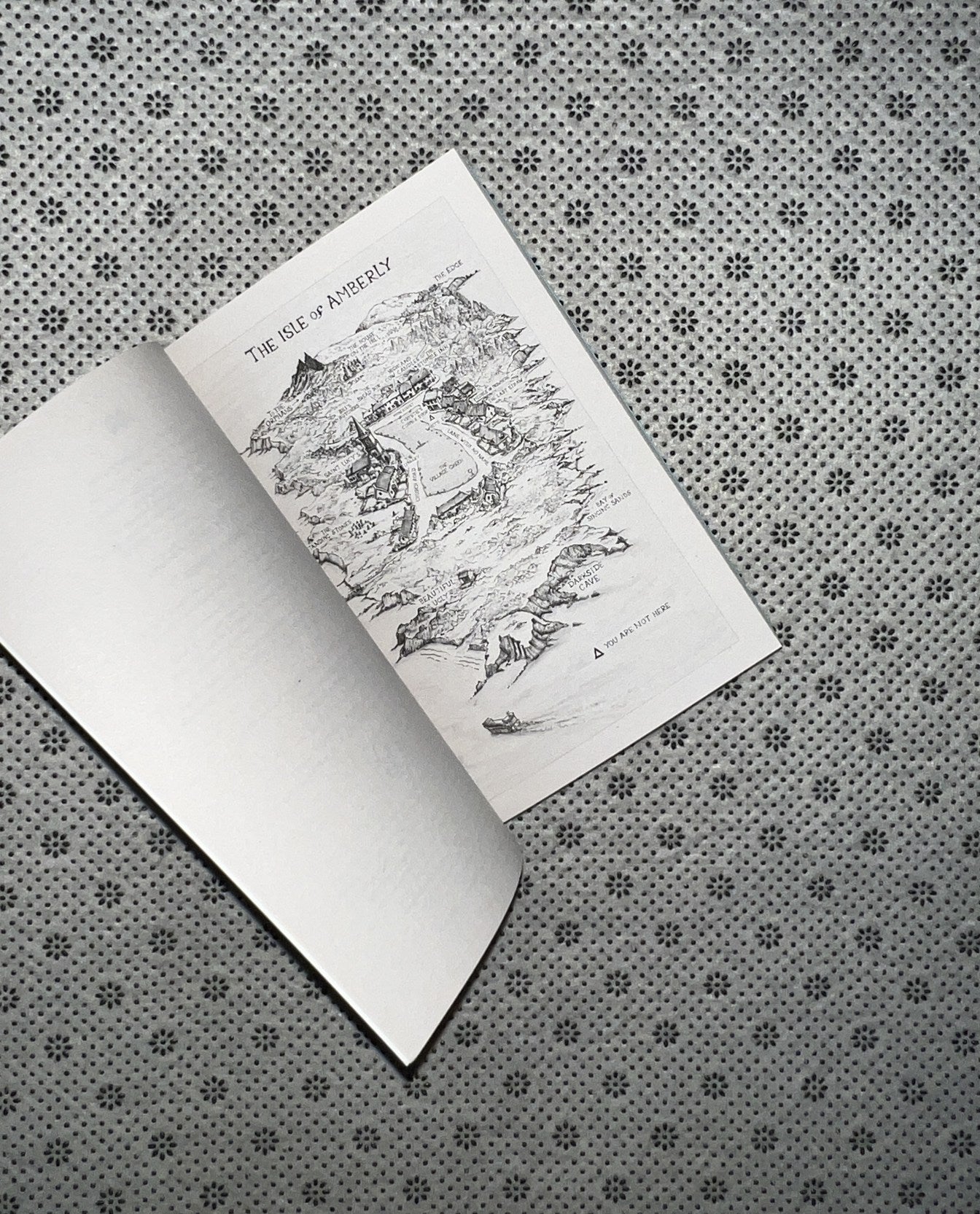 BEAUTIFUL UGLY:  A Novel by Alice Feeney