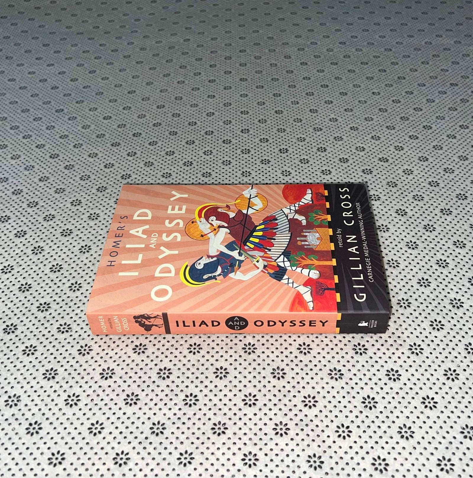homers iliad and odyssey by gillian cross