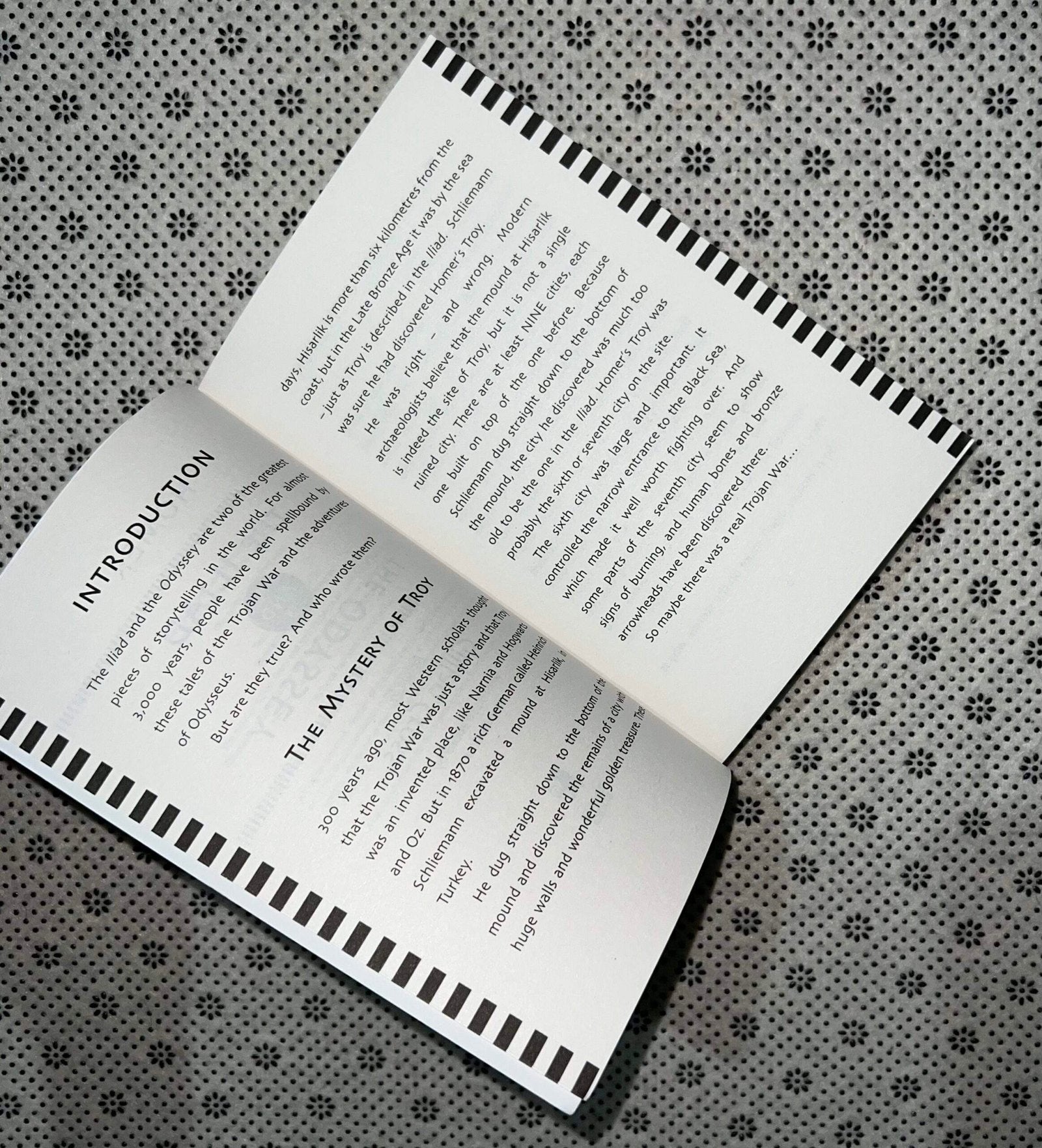 homers iliad and odyssey by gillian cross