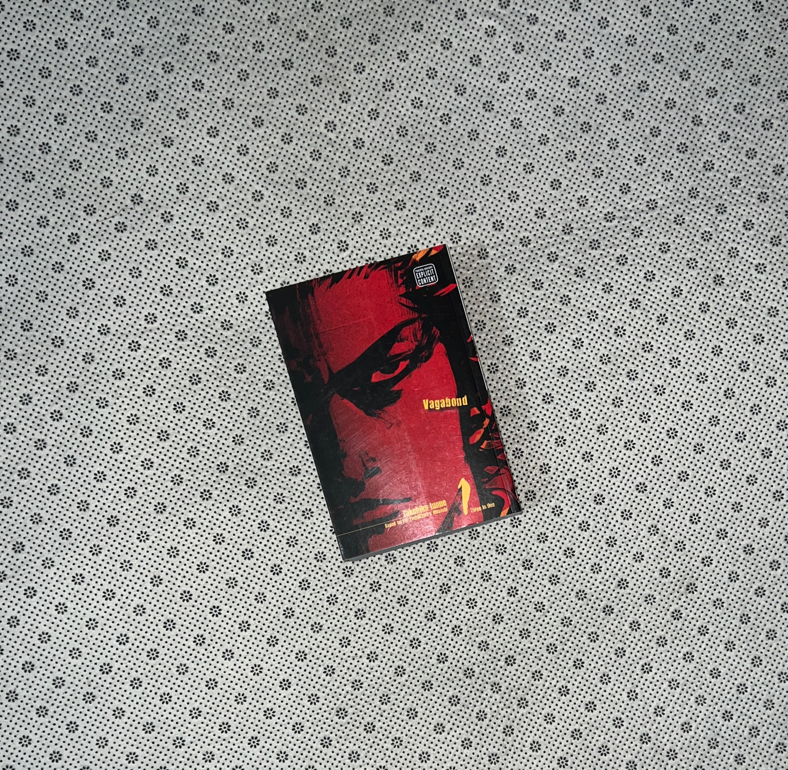 VAGABOND: Vol. 1 (VIZBIG Edition) by Takehiko Inoue