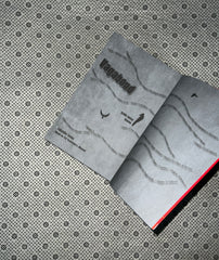 VAGABOND: Vol. 1 (VIZBIG Edition) by Takehiko Inoue