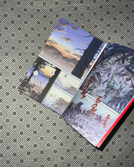 VAGABOND: Vol. 1 (VIZBIG Edition) by Takehiko Inoue