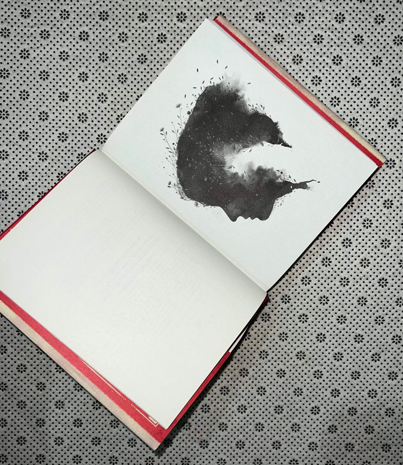 gallant by v e schwab 1