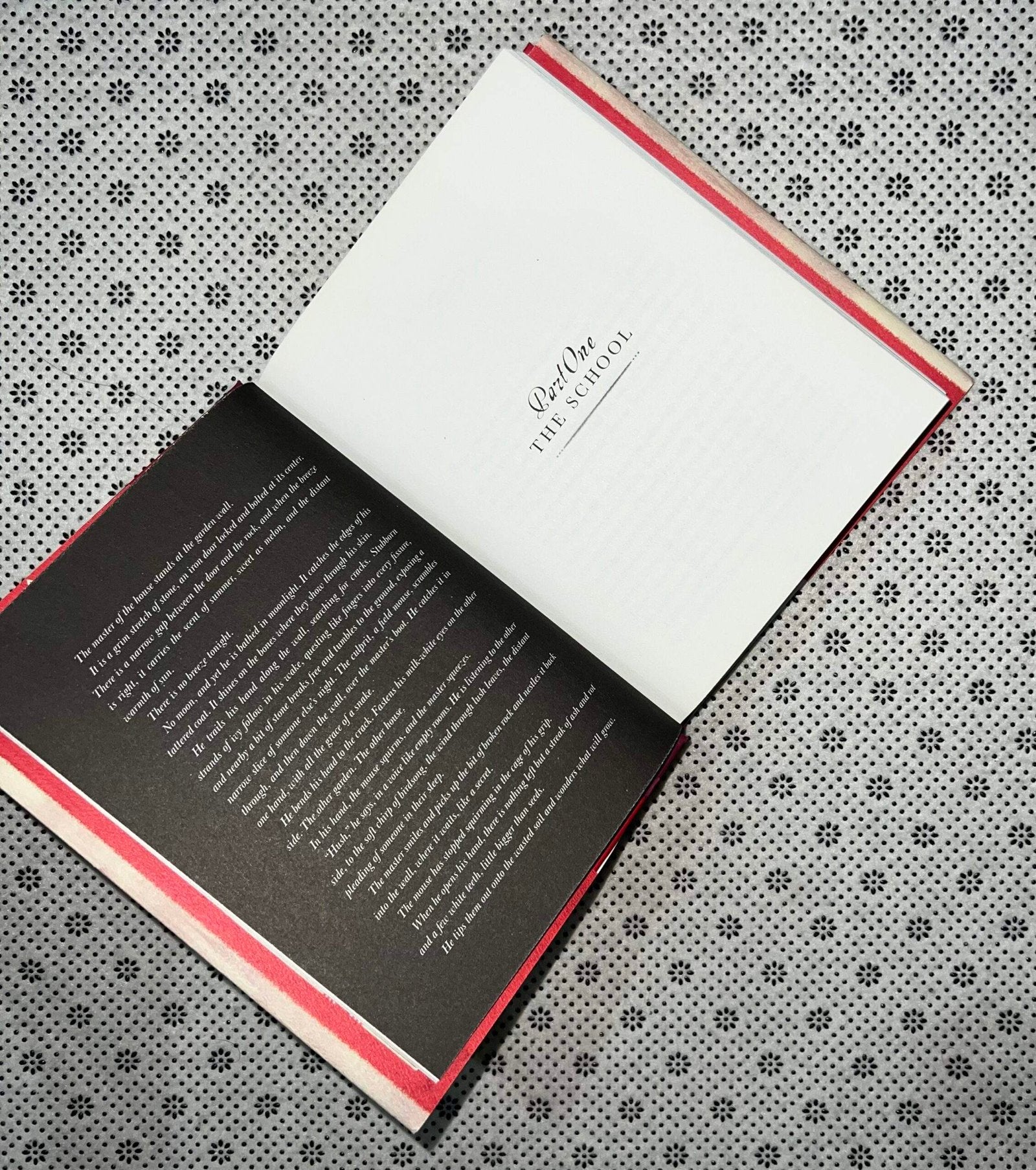 gallant by v e schwab 1