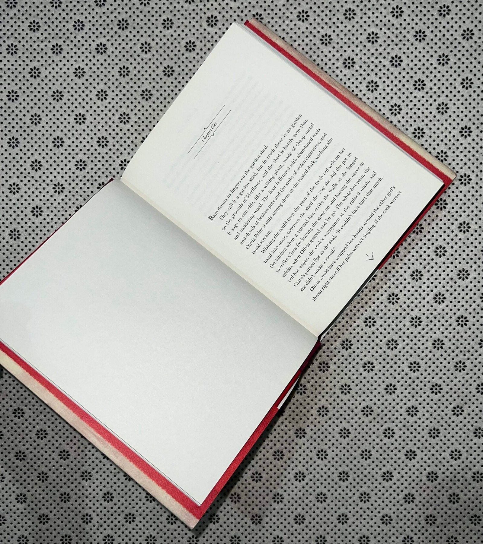 gallant by v e schwab 1