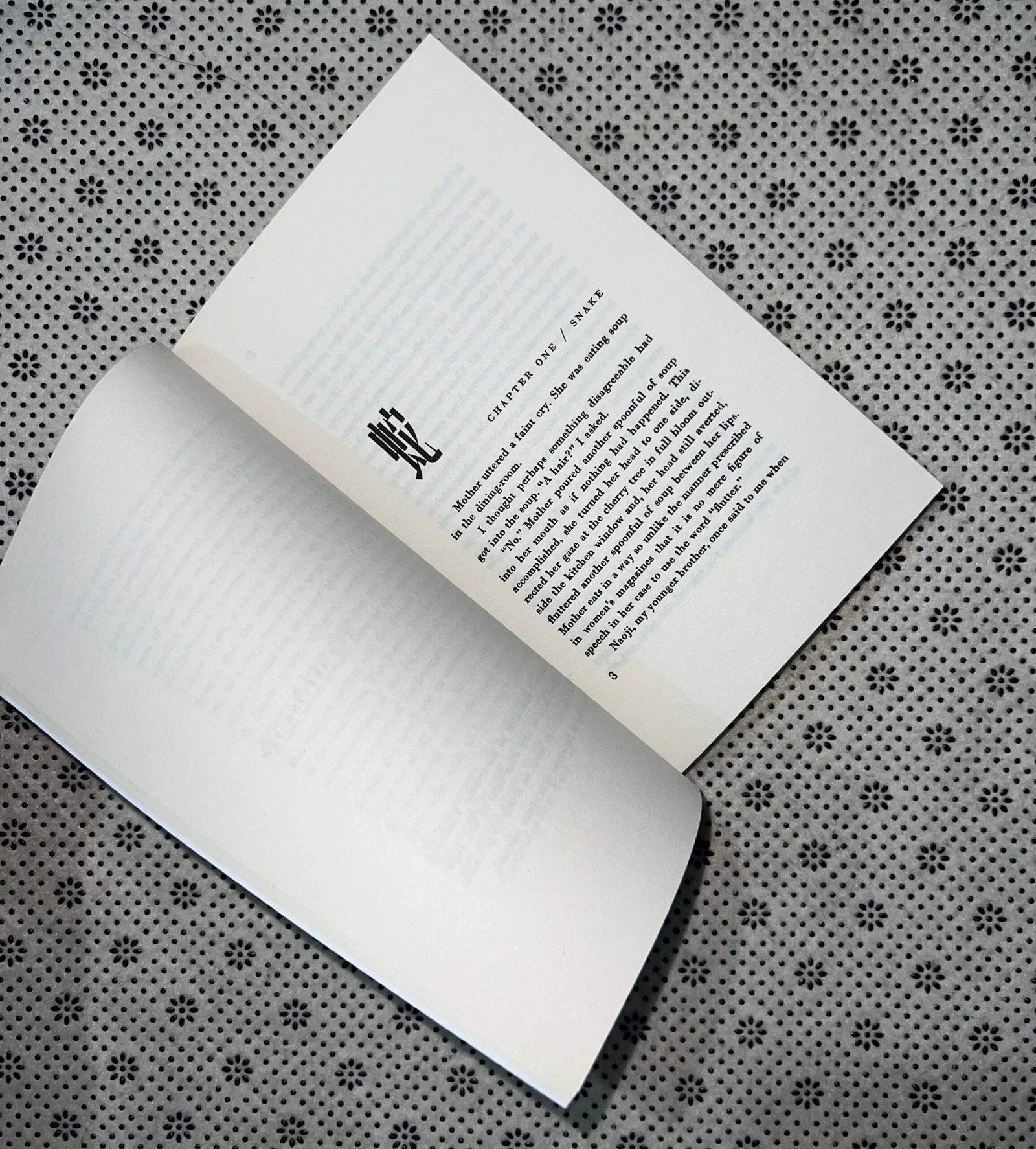 the setting sun by osamu dazai