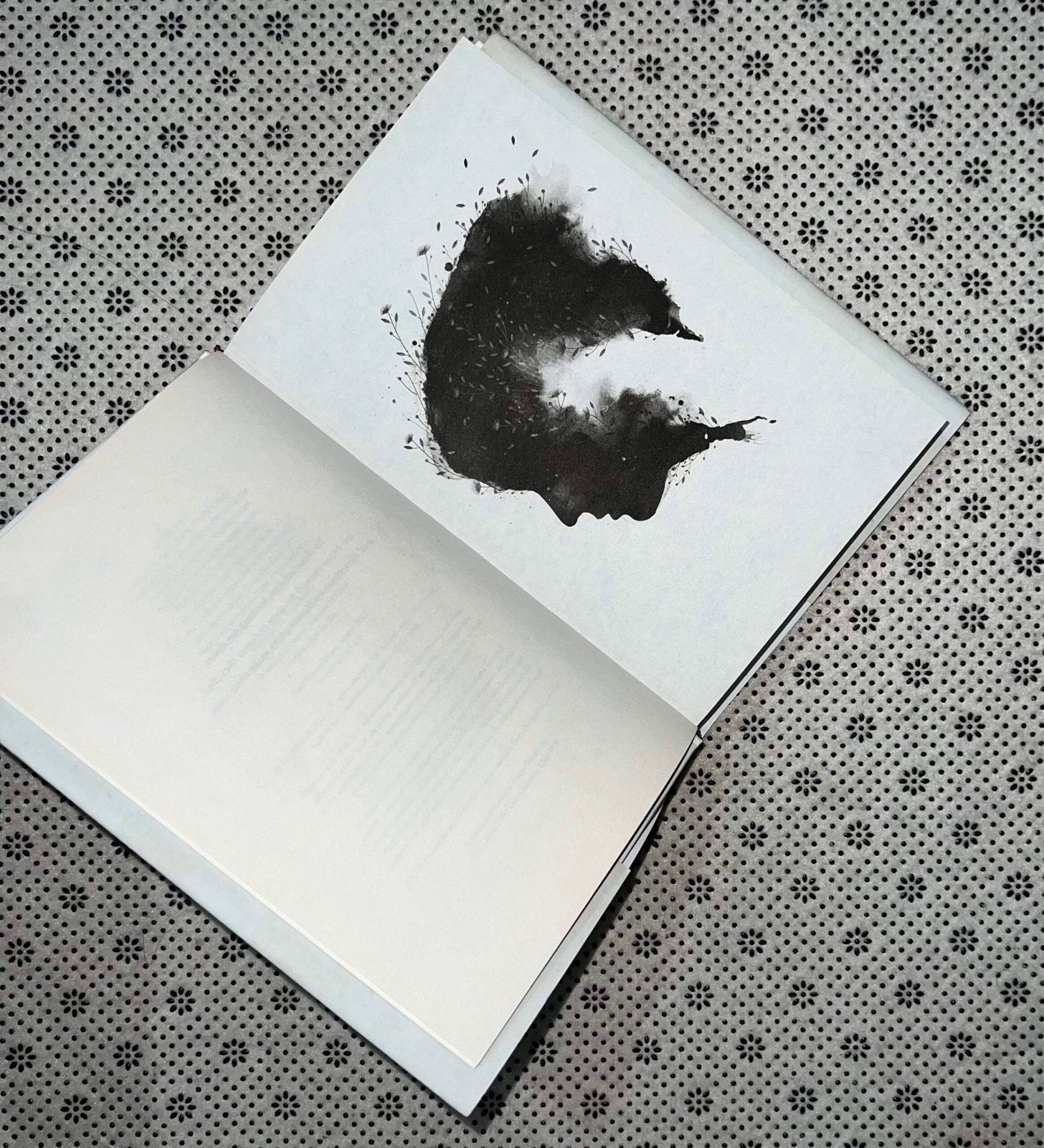 gallant by v e schwab 2