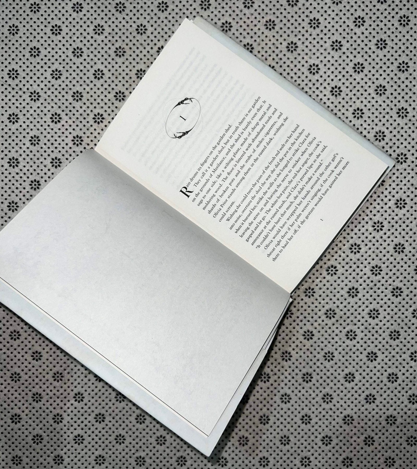 gallant by v e schwab 2