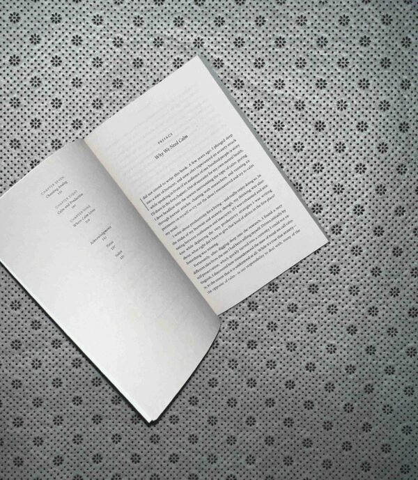 HOW TO CALM YOUR MIND: Finding Productivity In anxious Times by Chris Bailey